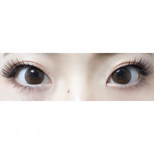 FLANMY Orange Brownie 10片裝